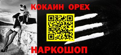 jwh Кингисепп