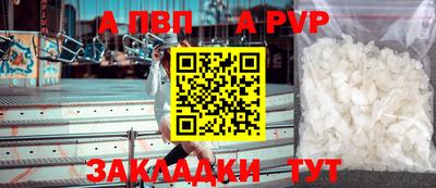 jwh Кингисепп