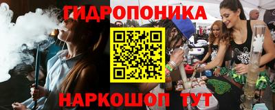 jwh Кингисепп