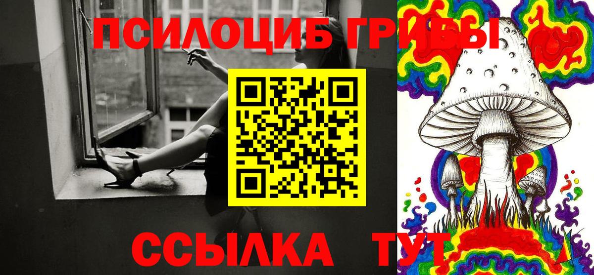 Галлюциногенные грибы Cubensis  Вход с VPN  Каменск-Шахтинский  цены   Псилоцибиновые грибы прущие грибы 